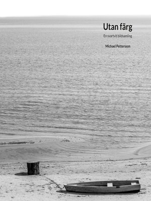 cover image of Utan färg